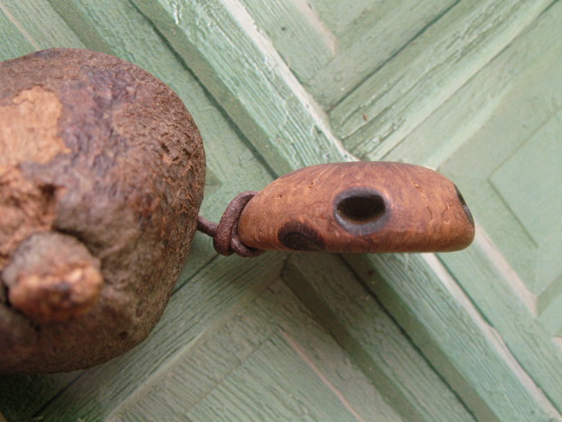 Banksia Zapfen Holzschmuck Anhänger Unikat