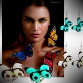 Butterfly Schmuck Kollektion von Dragon Porter bei www.du-chess.de
Handgefertigte Einzelstücke.