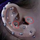 Ich will mir noch ein Ohrenpircing machen :) Entweder 1 oder 7...Welches findet ihr schöner und welches tut weniger weh?:D
Sorry, wegen der schlechten Qualität...