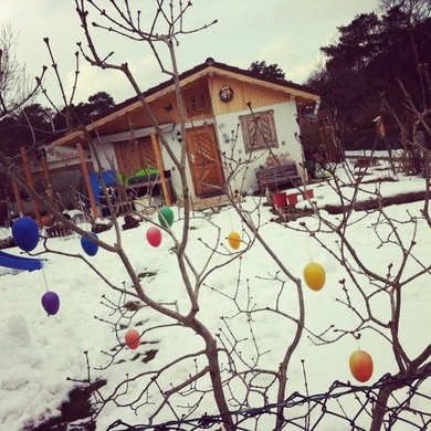 Ich wollte euch auch noch frohe Ostern wünschen und außerdem noch fragen, wie ihr das Bild findet! Hoffe ihr würdet reich beschenkt! ;) Kommis bitte ❤✌