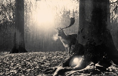 wer ist auch krank?? allen gute besserung diie krank siind =)) (mir ist LW *.* ) wer ist auch krank?? allen gute besserung diie krank siind =)) (mir ist LW *.* )