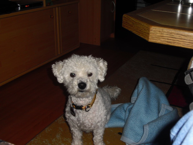 hund oder katze
mein hund"(nemo)
cooooooooooooooooooooooooooooooooooooooooooooooooooooooooooooooooooooooooooooooooooooool