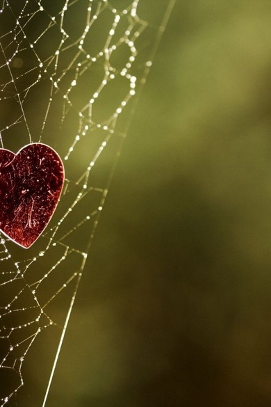 Hey People hab ne frage an euch habt ihr ein paar Flirt kennenden Tipps wie habt ihr euren Freund/in kennengelernt freu mich auf jede Antwort thx erdbeereXD (Janine)❤❤ Hey People hab ne frage an euch habt ihr ein paar Flirt kennenden Tipps wie habt ihr euren Freund/in kennengelernt freu mich auf jede Antwort thx erdbeereXD (Janine)❤❤