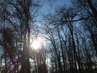 ... hab grad kein besseres Bild... kann ich zur Schule ne Jeans Shorts mit ner Strumpfhose anziehen, wenn's so kalt ist? oder ist das blöd? :\