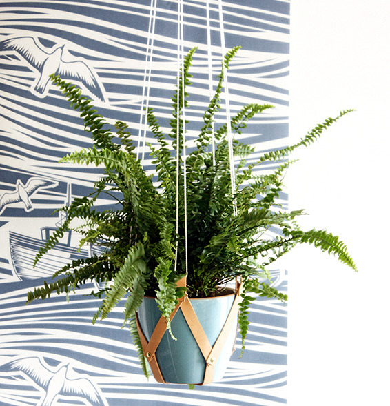 Paracute Paracute von raumrevolution