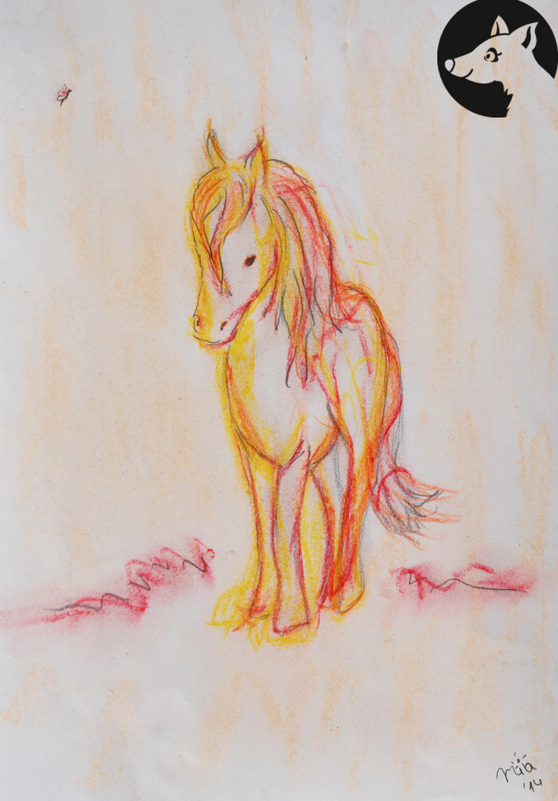 A2 Kinderzimmerposter Pferd mit Schmetterling A2 Kinderzimmerposter Pferd mit Schmetterling von Little-Walking-Wolf