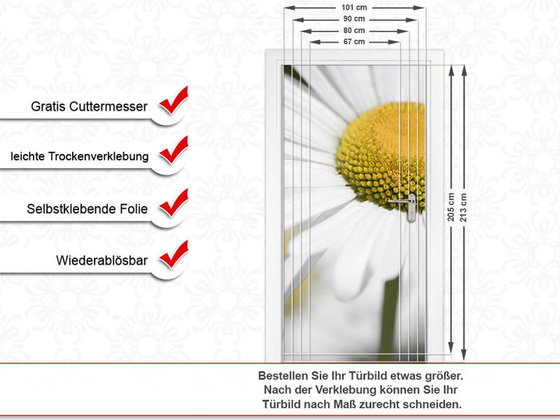 Türbild Türaufkleber Tür Deko Türposter Gänseblümchen Blume weiß gelb Türbild Türaufkleber Tür Deko Türposter Gänseblümchen Blume weiß gelb von GrazDesign