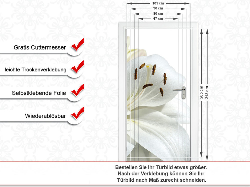 Türbild Türaufkleber Tür Deko Türposter weiße Blume Blüten Blätter Bad von GrazDesign