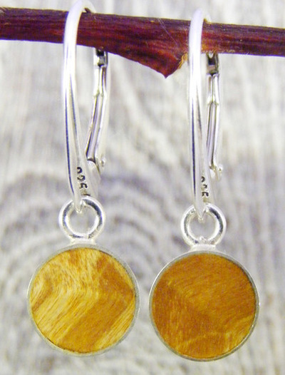 Holz Ohrhänger Silber 925 Eschen-Ahorn stab. gold Holz Ø 8mm Holz Ohrhänger Silber 925 Eschen-Ahorn stab. gold Holz Ø 8mm von Holzfelge