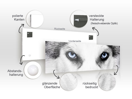 Wandbild Husky Hund Gesicht Tier von GrazDesign