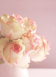 bluerose