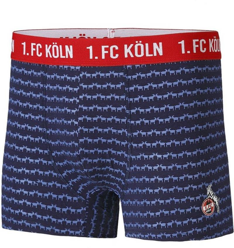 1. FC Köln Boxershorts Boxershorts Am Puffelskooche von 1. FC Köln
