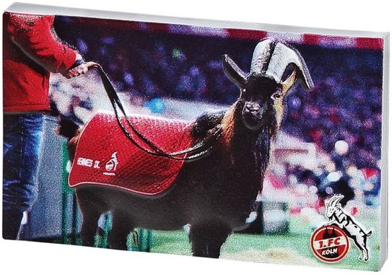 1. FC Köln Button Magnet Hennes von 1. FC Köln