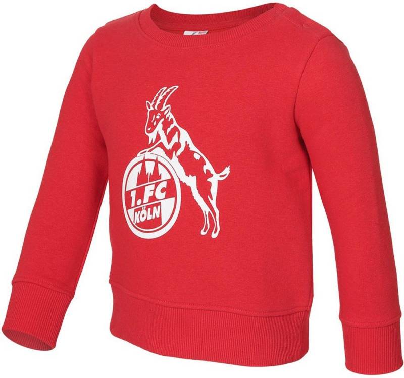 1. FC Köln Sweatshirt Baby Sweatshirt Basic von 1. FC Köln