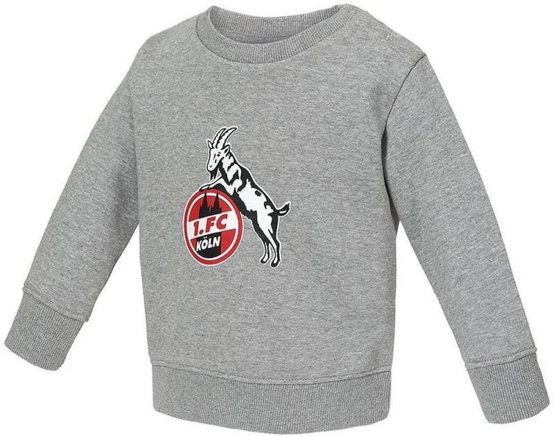 1. FC Köln Sweatshirt Sweatshirt Basic von 1. FC Köln