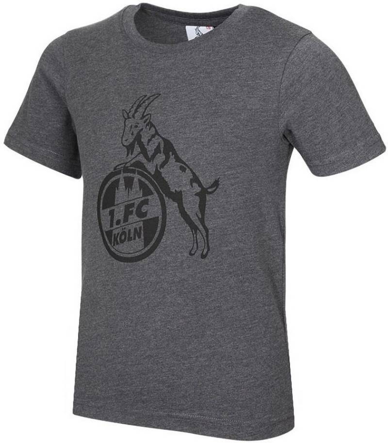 1. FC Köln T-Shirt T-Shirt Basic Anthrazit von 1. FC Köln