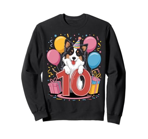 10. Geburtstag Junge Mädchen 10 Jahre alt zehn Border Collie Sweatshirt von 10th Girls, Boys Border Collie Dog 10 Birthday