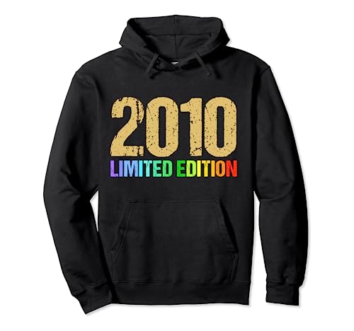 14. Geburtstag Junge Mädchen 14 Jahre 2010 Lustig Geschenk Pullover Hoodie von 14. Geburtstag Mädchen 14. Geburtstag Deko Junge