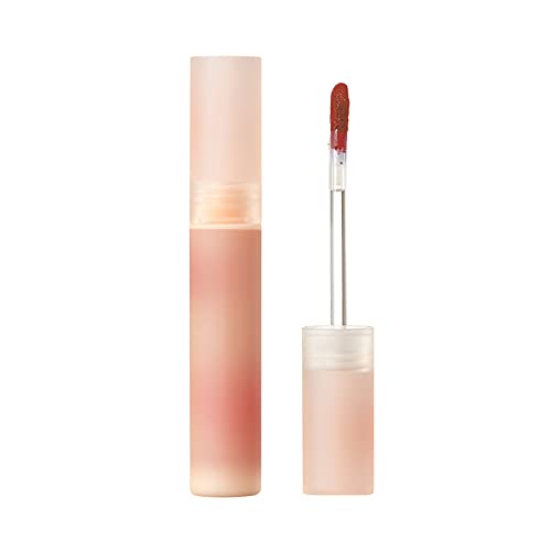 Lip Mud Lasting Lipstick Lip Glaze Non Stick Cup Non Fade Lip Gloss Non Pull Dry Waterproof Sweatproof Lipstick 2ML Erde Lippenstift (B, One Size) von 2022