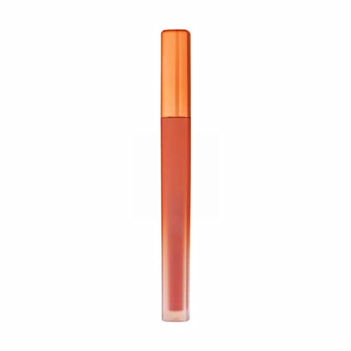 Orange Lip Glaze Samt-Lippenstift Non Stick Cup Non Pull Dry Lippenstift Wasserdicht Sweatproof Herbst-Winter-Lippenstift 2ML Lippenstift Abziehbar (D, One Size) von 2022