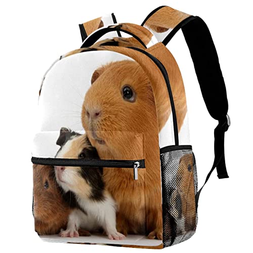 Schule Tasche Niedlicher Hamsterdruck Wanderrucksäcke Leichtgewicht Campus Backpack Modern Studenten Rucksack Für Reisen Outdoor Business von 208