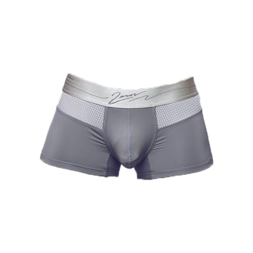 2EROS - Männer Unterwäsche - Herren Boxer - AKTIV Boreas Trunk String Brown - Grau - 1 x Größe L von 2EROS