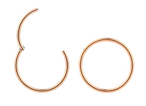 (8mm) 2 Stck Nasenring Hoop Titan Knorpelohrring Septum Clicker Ring 0,8mm Edelstahl Klappbarer Segmentring Lippenring Conch Daith Helix Rook Tragus Lobe Snug Ear Body Piercing Schmuck von 365 Sleepers