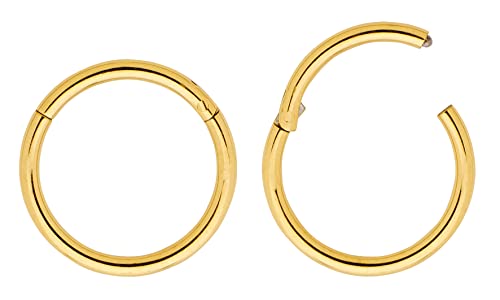 (7mm) 2 Stck Nasenring Hoop Titan Knorpelohrring Septum Clicker Ring 1,2mm Edelstahl Klappbarer Segmentring Lippenring Conch Daith Helix Rook Tragus Lobe Snug Ear Body Piercing Schmuck (7mm) 2 Stck Nasenring Hoop Titan Knorpelohrring Septum Clicker Ring 1,2mm Edelstahl Klappbarer Segmentring Lippenring Conch Daith Helix Rook Tragus Lobe Snug Ear Body Piercing Schmuck von 365 Sleepers