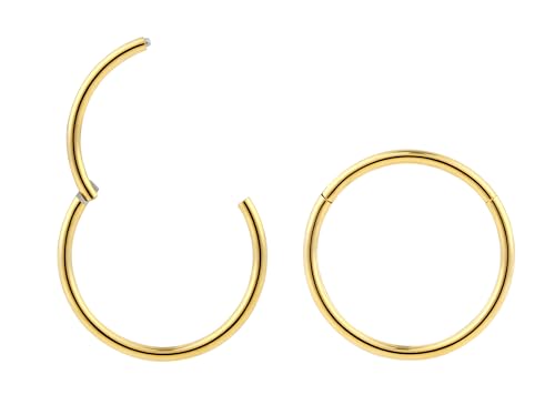 (9mm) Titan 0,8 mm Segment Nasenring Hoop Knorpelohrring Septum Clicker Klappbarer Lippen Conch Daith Helix Rook Tragus Lobe Snug Piercing Schmuck 2 Stck (9mm) Titan 0,8 mm Segment Nasenring Hoop Knorpelohrring Septum Clicker Klappbarer Lippen Conch Daith Helix Rook Tragus Lobe Snug Piercing Schmuck 2 Stck von 365 Sleepers