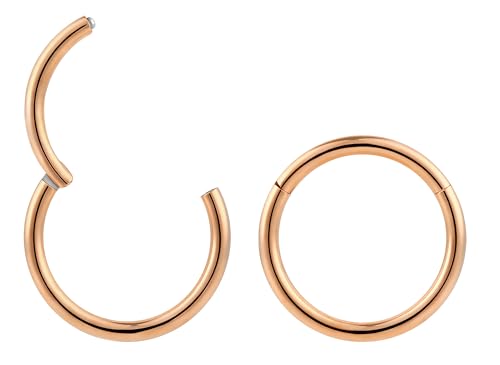 (8mm) 2 Stck Nasenring Hoop Titan Knorpelohrring Septum Clicker Ring 1,2mm Edelstahl Klappbarer Segmentring Lippenring Conch Daith Helix Rook Tragus Lobe Snug Ear Body Piercing Schmuck von 365 Sleepers
