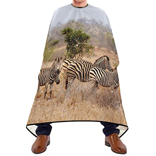 Friseurumhang 140x168cm, Afrikanische Graslandzebras Herren Umhang Mode Barbier Umhang Wasserdicht Unisex Friseurumhang, Für Friseursalon, Barbier von 385