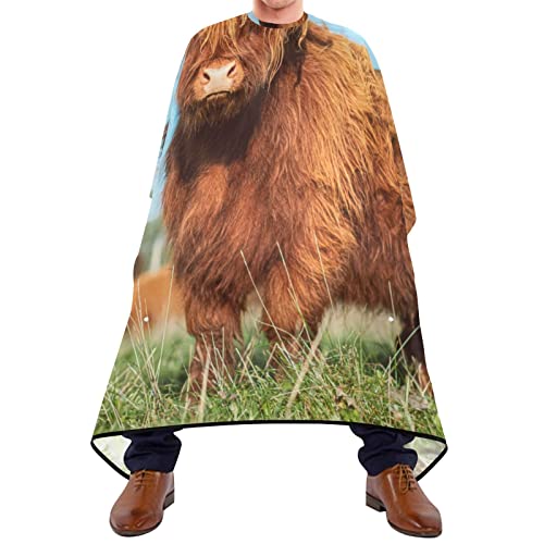 Friseurumhang 140x168cm, Highland Cow Farm Friseur Cape Einstellbare Barbier Umhang Wasserdicht Unisex Friseure Kleid, Für Friseursalon, Kinder von 385