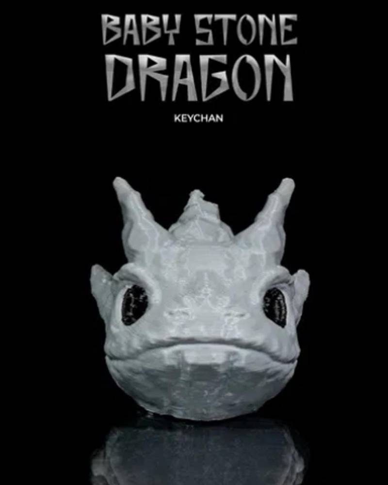 Baby Steindrache Keychain. Nicht Stl Datei von 3DDLSCreations