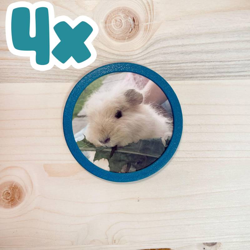 4Er-Set Foto Klettie Für Ergobag Schulranzen - Über 60 Farben von 3DDruckraum