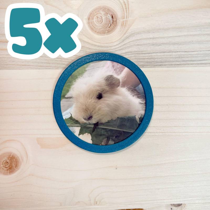 5Er-Set Foto Klettie Für Ergobag Schulranzen - Wähle 2 Aus Über 60 Farben von 3DDruckraum