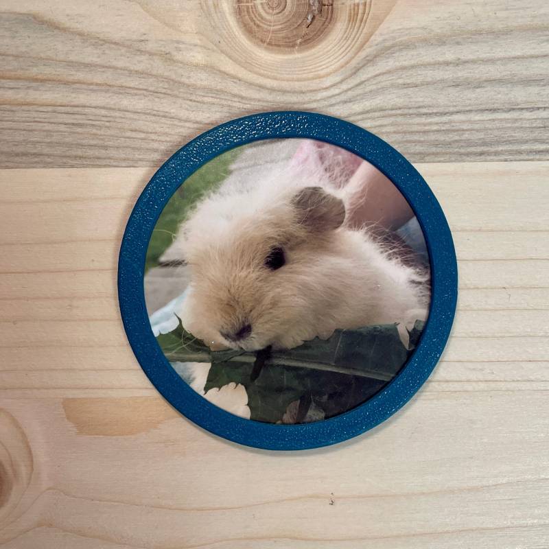 Foto Klettie Mini Rund Für Ergobag Schulranzen - Über 60 Farben von 3DDruckraum