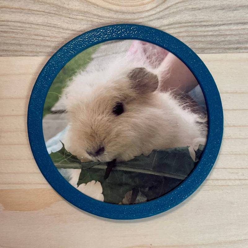 Foto Klettie Rund Für Ergobag Schulranzen - Über 60 Farben Foto Klettie Rund Für Ergobag Schulranzen - Über 60 Farben von 3DDruckraum