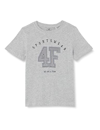4F JUNIOR Jungen Boy's T-Shirt Jtsm008 Tshirt, Grau (Cold Light Grey Melange), 164 cm von 4F JUNIOR