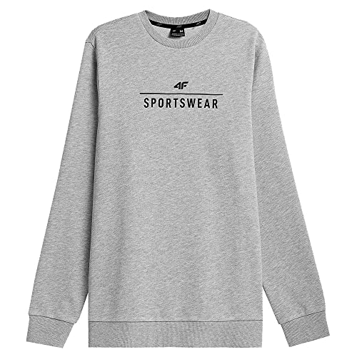 4F Herren M349 Sweatshirt, Grau (Cold Light Grey Melange), XXXL von 4F