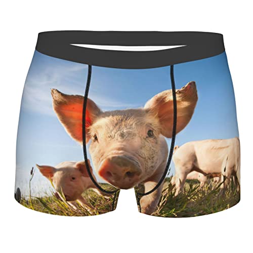 501 Schwein Im Gras Herren Funktionsunterwäsche Weich Retroshorts Classic Unterwäsche Bequeme Underwear XXL von 501
