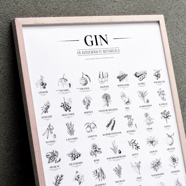 531 Rheinland Design Gin Plakat, 49 ausgewählte Kräuter Botanicals Gin Aromen als Poster von 531 Rheinland Design