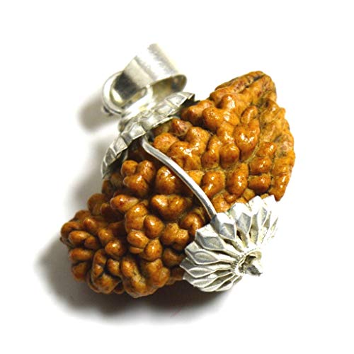 55Carat Original One Mukhi 1 Gesicht Natürliche Nepali Rudraksha Perlen Silber Anhänger Astrologie Schmuck für Männer Frauen von 55Carat