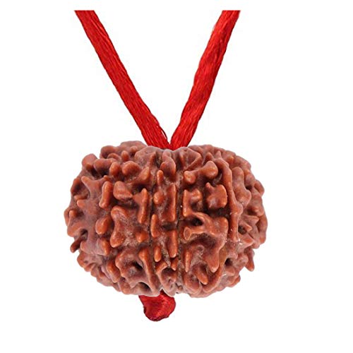 55Carat original 10 mukhi einfache Nepali natürliche rudarakasha anhänger zehn gegenüberliegend Labor Zertifiziert perlen Mediziner Astrologie schmuck für männer Frauen von 55Carat