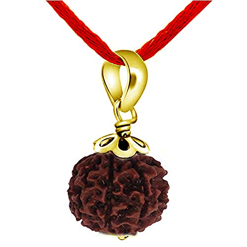55Carat original Sieben mukhi 7 Gesicht Chakra heilung nepail vergoldet rudraksha anhänger rudraksh merklappe von 55Carat