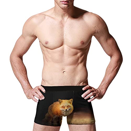 702 Boxer Short Unterhose Fuchs Unterhose Mikrofaser Men Unterwäsche Classic Boxershorts Herren Für Junge, Ehemann, Mann L von 702