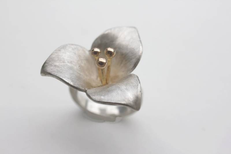 Vergänglicher Ring von 750creation