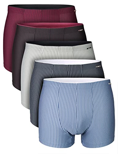 7Days Herren Retro Pant 5er oder 10er Pack gestreift aus Mikrofaser mit Elasthan 5er Pack XXL von 7 Days