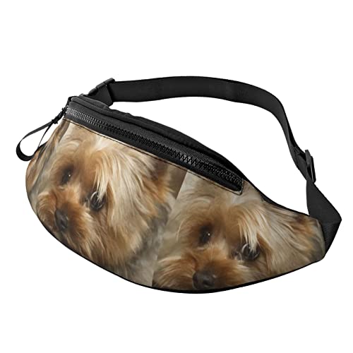 Gurttasche Yorkie Terrier Unisex Sport Gürteltasche Mode,Verstellbarer Hüfttasche Für Aktivitäten Laufen Damen 14X35Cm von 874