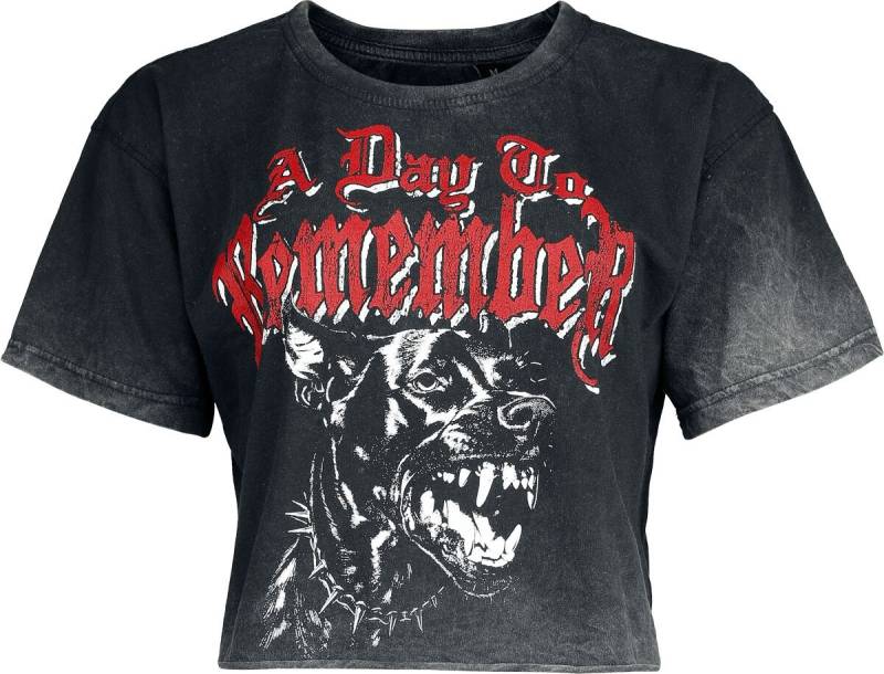 A Day To Remember Hound T-Shirt grau in M von A Day To Remember