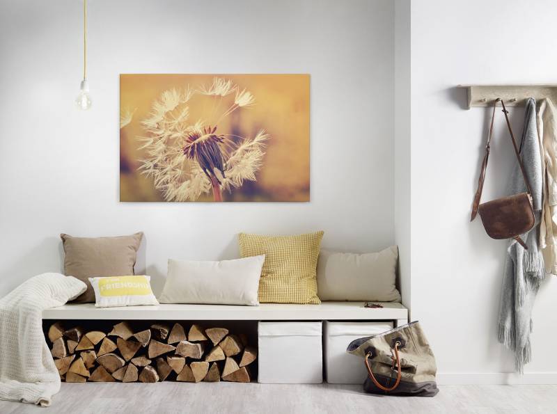 A.S. Création Leinwandbild "Dandelion" Gemälde  Kunst 1 Stk. tlg. Pusteblume Keilrahmen Leinwand-Bild Wohnzimmer modern Wandbild Kinder von A.S. Création